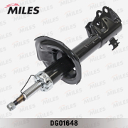 Miles DG01648