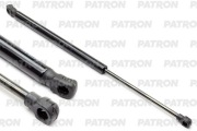 PATRON PGS593440