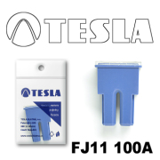 TESLA FJ11100A