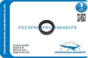 ROADRUNNER RRMD153103