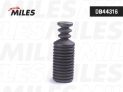 Miles DB44316