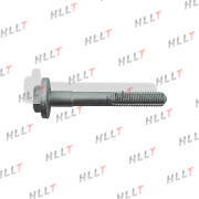HLLT HLL00113