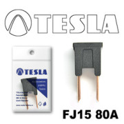 TESLA F * * * A