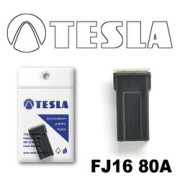 TESLA FJ1680A