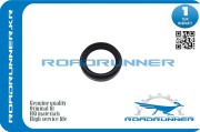 ROADRUNNER R * * * 4