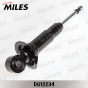 Miles DG12234