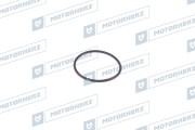 Motorherz H * * * 1