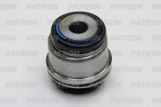 PATRON PSE10763