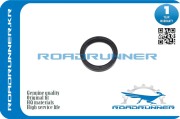 ROADRUNNER RR9031148016