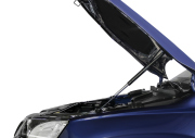 Rival AST51081 Упоры капота Skoda Karoq 2020-, 2 шт.