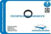 ROADRUNNER RRLF0110602