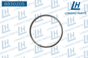 Longho 8 * * * 5