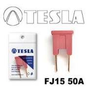 TESLA FJ1550A