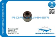 ROADRUNNER RRMD307343