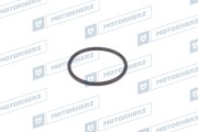 Motorherz H * * * 6