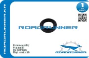 ROADRUNNER R * * * 4