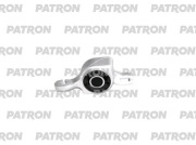 PATRON PSE11953