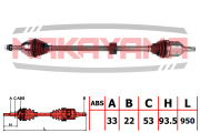 NAKAYAMA N * * * Y