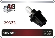 Auto-GUR 29322