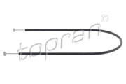 topran 503906