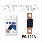 TESLA FG300A