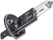 Fukurou 4301F1