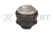 Zekkert GM4189
