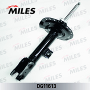 Miles DG11613
