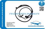 ROADRUNNER RRSEM500062