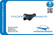 ROADRUNNER RR23731EN20A