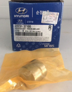 Hyundai-KIA 2223137100