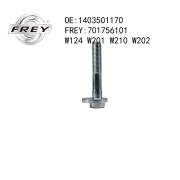 FREY 701756101