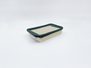 BIG FILTER GB9557 