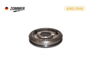 Zommer A21R221701116