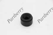 PARTBERRY PB560301