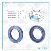 GELZER 0 * * * T