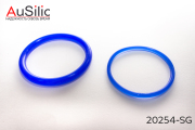 AuSilic 20254SG