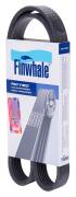 Finwhale B * * * E
