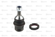 Schatz S12556