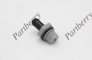 PARTBERRY PB115119