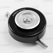 CARBERRY 55CA378