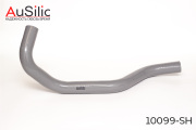 AuSilic 10099SH