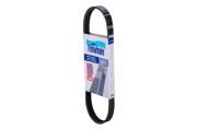 Finwhale BP5PK692E