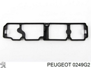 Peugeot-Citroen 0249G2 УПЛОТНИТЕЛЬ СТ.