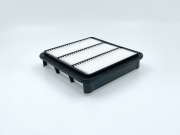 BIG FILTER GB924 