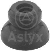 ASLYX AS203161