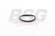 BSG AUTO PARTS BSG60116015