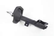 ZF Russia 316995ZFR
