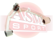 ASVA 0224068
