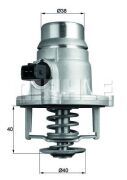 Mahle/Knecht TM27101